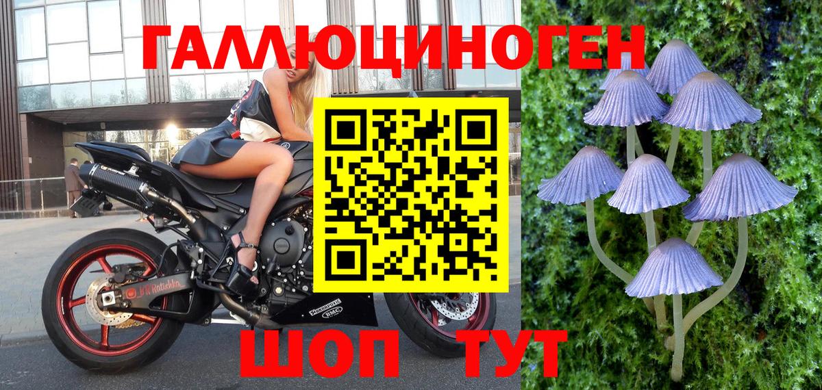 Камень-на-Оби  Псилоцибиновые грибы ЛСД  Вход с VPN 